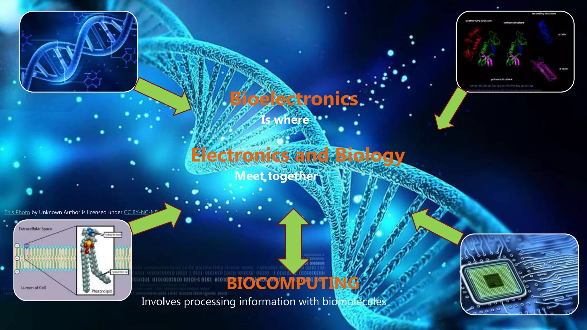 This Photo by Unknown Author is licensed under CC BY-NC-ND
Bioelectronics
Is where
BIOCOMPUTING
Electronics and Biology
Meet together
Involves processing information with biomolecules
 