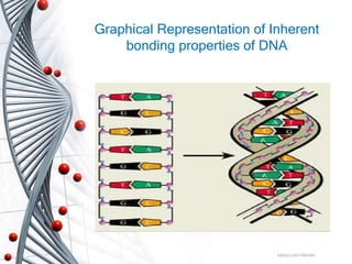 Graphical Representation of Inherent
bonding properties of DNA
ABDULLAH FARHAD
 