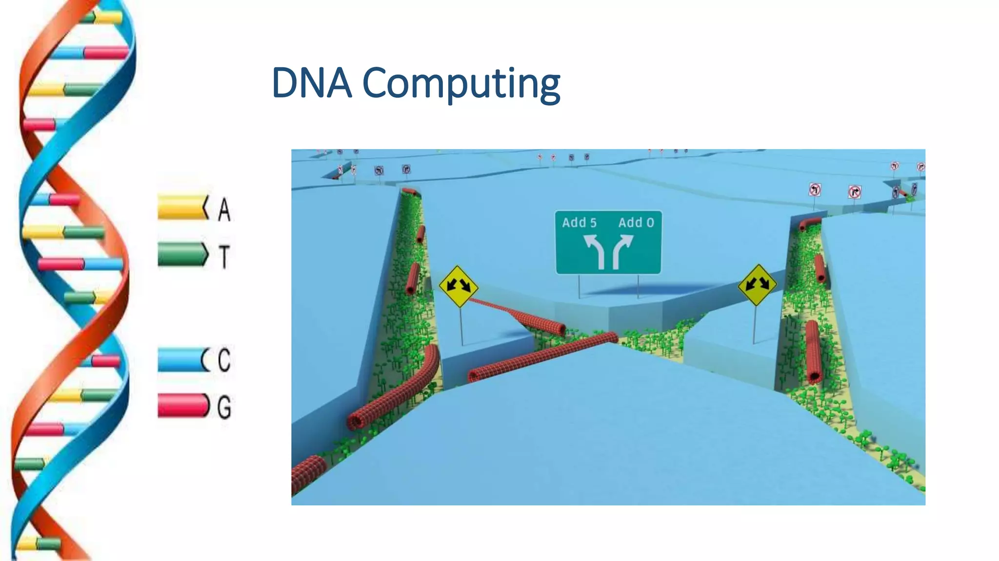 DNA Computing