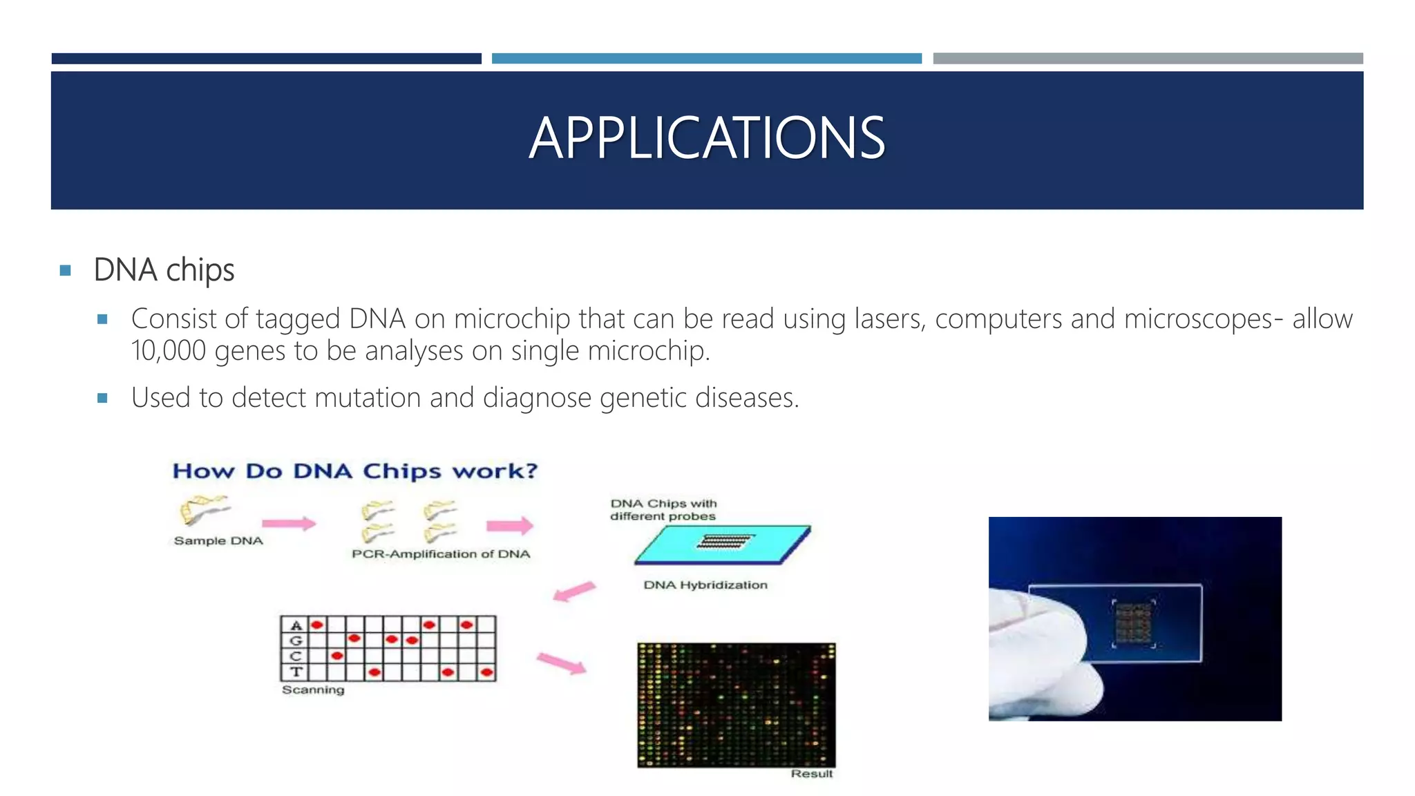 APPLICATIONS
 DNA chips
 Consist of tagged DNA on microchip that can be read using lasers, computers and microscopes- allow
10,000 genes to be analyses on single microchip.
 Used to detect mutation and diagnose genetic diseases.
 
