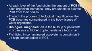 • At each level of the food chain, the amount of PCB in
each organism increases. They are unable to excrete
PCB from their bodies.
• Through the process of biological magnification, the
PCB becomes concentrated in the body tissues of
water organisms.
• Biological magnification is the buildup of pollutants
in organisms at higher trophic levels in a food chain.
• Fish living in contaminated ecosystems contain built-
up high concentration of PCB.
 