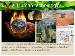Human intervention also takes a big part of population changes such as global warming
which is from the pollution causes by human, affects onmelting glacier andpolarbears’
population and deforestation decrease living space of animals.
Human technology
 