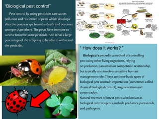 “Biological pest control”
Pestcontrolbyusing pesticidescan causes
pollutionandresistanceofpests whichdevelops
afterthe pestsescapefromthe deathandbecomes
strongerthanothers.The pestshaveimmune to
survivefromthesamepesticide.And it hasalarge
percentage oftheoffspringtobeabletowithstand
the pesticide.
“ How does it works? ”
Biologicalcontrolisamethodofcontrolling
pestusing otherliving organisms,relying
onpredation,parasitismor competitionrelationship,
buttypicallyalsoinvolves an activehuman
managementrole.Therearethreebasictypesof
biologicalpestcontrol;importation(sometimescalled
classical biological control),augmentationand
conservation.
Naturalenemies ofinsect pests,also knownas
biological controlagents,includepredators,parasitoids,
andpathogens.
 