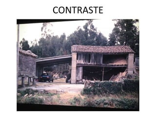 CONTRASTE 