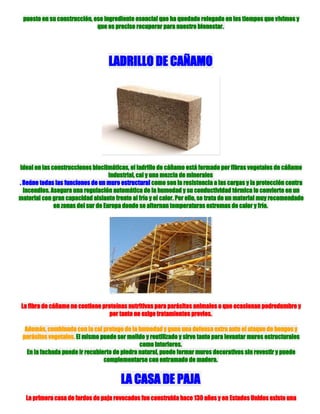 Bioconstruir o como deberían ser nuestras casas