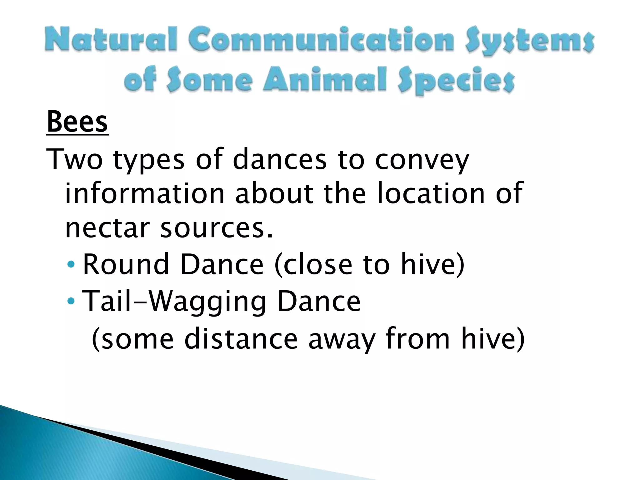 BeesTwo types of dances to convey information about the location of nectar sources.Round Dance (close to hive) 