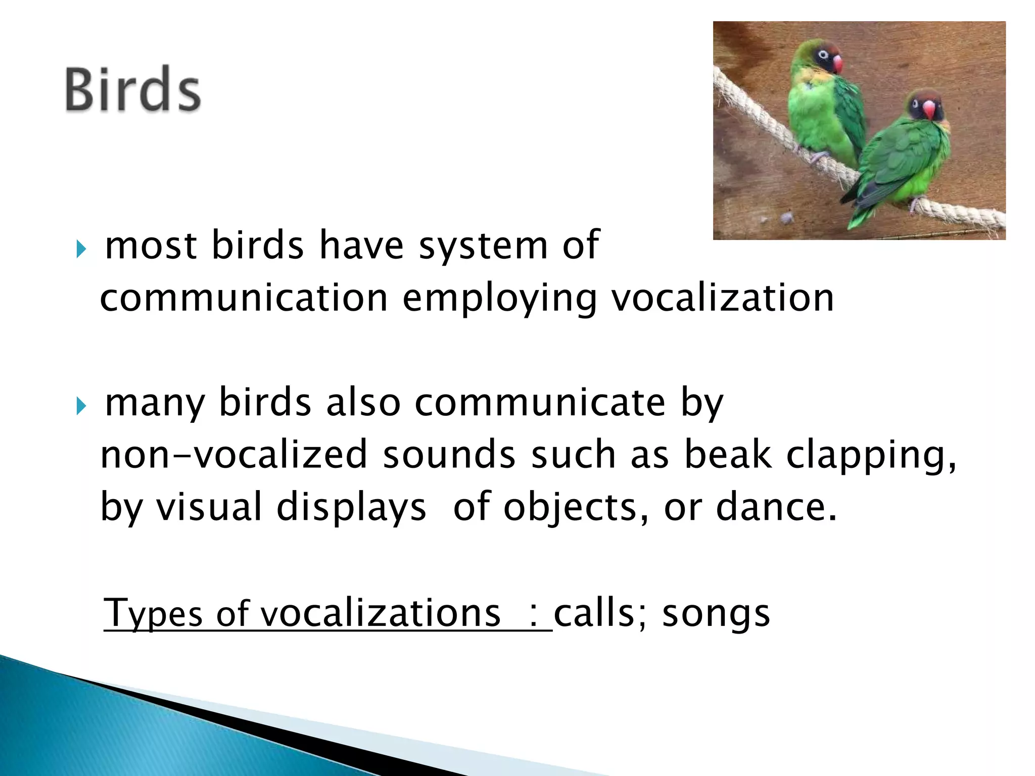Tail-Wagging Dance   (some distance away from hive)Natural Communication Systems of Some Animal Species