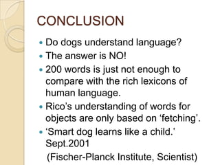 Make out territory cultural transmission Critical period for acquisition of songs 
