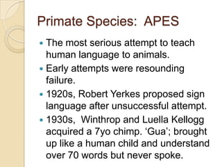 Show dialect  variation  in their songsuse vocalization, facial expressions and    posture to communicate with one another. use bodily signs including head-bobbing rapid glancing towards and away from another , individual, penile displays and tail-signals. System of vocalization for alarm calls:	 #a high pitched chatter warns of presence of snake.#a chip [short but loud barking call] gives warning of       leopard and lion. 	 #an uh  warns of a minor predator such as hyena .Vervet monkeys