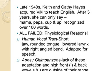 Vervetmonkeys also have vocalization that inform about monkeys emotion: Low-pitched chatter expresses an aggressive threat.A woof subordinate males indicates submission. The vocalization of vervet monkey appears  to be arbitrary