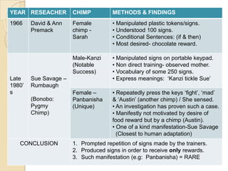 TEACHING HUMAN LANGUAGE TO ANIMALSDogs’ understanding of human language (Non-Primate)APES (Primate Species)i) Teaching ASL to Chimpanzees	ii) Teaching Chimpanzees to Use Tokens        or Keys	iii) Evaluation of Apes’ Language Abilities