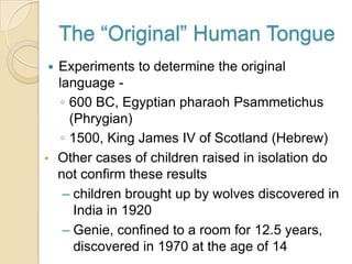 Ability to acquire Fast-Mapping.Rico knows words for over 200 different items and fetches its when instructed. (Kaminski et al. 2004)Eliminating the ‘Clever Hans’ effect; Rico was to fetch 2 items randomly selected from the 200 that the dog was allegedly familiar with from an adjacent room.Rico could rapidly learn names of unfamiliar toys; performed accurately in fetching items, 7 out of 10 attempts.