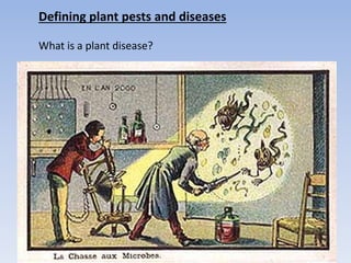 Defining plant pests and diseases
What is a plant disease?
Agrios, 1988. Plant Pathology.
“Any malfunctioning of host cells and tissues that results
from continuous irritation by a pathogenic agent or
environmental factors and leads to development of
symptoms.”
Carr et al., 2012.
“A human interpretation of a plant physiological disorder.”
 