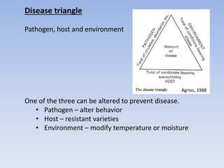 Disease triangle
Pathogen, host and environment
One of the three can be altered to prevent disease.
• Pathogen – alter behavior
• Host – resistant varieties
• Environment – modify temperature or moisture
Agrios, 1988
 