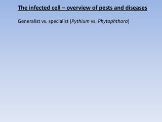 The infected cell – overview of pests and diseases
Generalist vs. specialist (Pythium vs. Phytophthora)
 