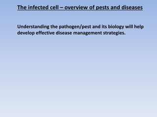 The infected cell – overview of pests and diseases
Understanding the pathogen/pest and its biology will help
develop effective disease management strategies.
 