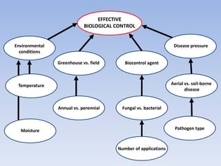 EFFECTIVE
BIOLOGICAL CONTROL
Aerial vs. soil-borne
disease
Greenhouse vs. field
Disease pressure
Number of applications
Pathogen type
Annual vs. perennial
Biocontrol agent
Fungal vs. bacterial
Environmental
conditions
Temperature
Moisture
 