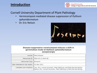 Introduction
Cornell University Department of Plant Pathology
• Vermicompost-mediated disease suppression of Pythium
aphanidermatum
• Dr. Eric Nelson
 