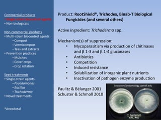 Product: RootShield®, Trichodex, Binab-T Biological
Fungicides (and several others)
Active ingredient: Trichoderma spp.
Mechanism(s) of suppression:
• Mycoparasitism via production of chitinases
and β 1-3 and β 1-4 glucanases
• Antibiotics
• Competition
• Induced resistance
• Solubilization of inorganic plant nutrients
• Inactivation of pathogen enzyme production
Paulitz & Bélanger 2001
Schuster & Schmoll 2010
Commercial products
• Single-strain biocontrol agents
• Non-biologicals
Non-commercial products
• Multi-strain biocontrol agents
–Compost
–Vermicompost
–Teas and extracts
• Prevention practices
–Mulches
–Cover crops
–Crop rotation
Seed treatments
• Single-strain agents
–Psuedomonas
–Bacillus
–Trichoderma
• Novel treatments
*Anecdotal
biocontrol.entomology.cornell.edu
 