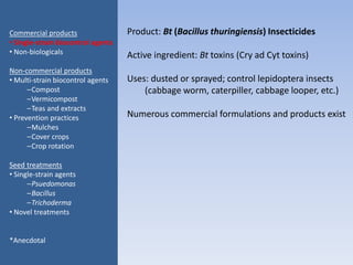Product: Bt (Bacillus thuringiensis) Insecticides
Active ingredient: Bt toxins (Cry ad Cyt toxins)
Uses: dusted or sprayed; control lepidoptera insects
(cabbage worm, caterpiller, cabbage looper, etc.)
Numerous commercial formulations and products exist
Commercial products
• Single-strain biocontrol agents
• Non-biologicals
Non-commercial products
• Multi-strain biocontrol agents
–Compost
–Vermicompost
–Teas and extracts
• Prevention practices
–Mulches
–Cover crops
–Crop rotation
Seed treatments
• Single-strain agents
–Psuedomonas
–Bacillus
–Trichoderma
• Novel treatments
*Anecdotal
 