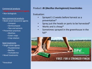 Product: Bt (Bacillus thuringiensis) Insecticides
Evaluation:
• Sprayed 1-2 weeks before harvest as a
preventative*
• Spray just the heads or parts to be harvested*
• Works and is cheap*
• Sometimes sprayed in the greenhouse in the
fall*
Commercial products
• Single-strain biocontrol agents
• Non-biologicals
Non-commercial products
• Multi-strain biocontrol agents
–Compost
–Vermicompost
–Teas and extracts
• Prevention practices
–Mulches
–Cover crops
–Crop rotation
Seed treatments
• Single-strain agents
–Psuedomonas
–Bacillus
–Trichoderma
• Novel treatments
*Anecdotal
 