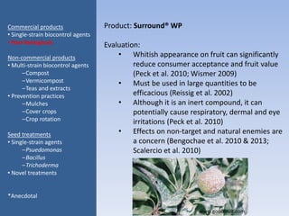Product: Surround® WP
Evaluation:
• Whitish appearance on fruit can significantly
reduce consumer acceptance and fruit value
(Peck et al. 2010; Wismer 2009)
• Must be used in large quantities to be
efficacious (Reissig et al. 2002)
• Although it is an inert compound, it can
potentially cause respiratory, dermal and eye
irritations (Peck et al. 2010)
• Effects on non-target and natural enemies are
a concern (Bengochae et al. 2010 & 2013;
Scalercio et al. 2010)
Commercial products
• Single-strain biocontrol agents
• Non-biologicals
Non-commercial products
• Multi-strain biocontrol agents
–Compost
–Vermicompost
–Teas and extracts
• Prevention practices
–Mulches
–Cover crops
–Crop rotation
Seed treatments
• Single-strain agents
–Psuedomonas
–Bacillus
–Trichoderma
• Novel treatments
*Anecdotal
www.goodfruit.com
 