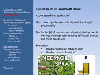 Product: Neem Oil (Azadirachta indica)
Active ingredient: azadirachtin
Uses: broad spectrum insecticide/miticide; fungal
preventative
Mechanism(s) of suppression: when ingested, prevents
molting and suppresses feeding; suffocates insects
and mites on contact
Evaluation:
• Used for harlequin cabbage bug*
• Used outside on brassicas*
Commercial products
• Single-strain biocontrol agents
• Non-biologicals
Non-commercial products
• Multi-strain biocontrol agents
–Compost
–Vermicompost
–Teas and extracts
• Prevention practices
–Mulches
–Cover crops
–Crop rotation
Seed treatments
• Single-strain agents
–Psuedomonas
–Bacillus
–Trichoderma
• Novel treatments
*Anecdotal
article.wn.com indiamart.com
 