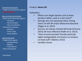 Product: Neem Oil
Evaluation:
• Effects non-target species such as bees
(product lable); used as a last resort*
• Synergy was not expressed when mixing
neem oil with Bt and/or Beauveria bassiana
(Togbe et al. 2014)
• Success not always realized (Ahmady & Kumar
2014); Bt more effective (Padhi et al. 2013)
• “Most environmentally friendly pesticide,
highly biodigradable and leaves no residues
on food stuff.” (Mathur 2013)
• Variable results
Commercial products
• Single-strain biocontrol agents
• Non-biologicals
Non-commercial products
• Multi-strain biocontrol agents
–Compost
–Vermicompost
–Teas and extracts
• Prevention practices
–Mulches
–Cover crops
–Crop rotation
Seed treatments
• Single-strain agents
–Psuedomonas
–Bacillus
–Trichoderma
• Novel treatments
*Anecdotal
 