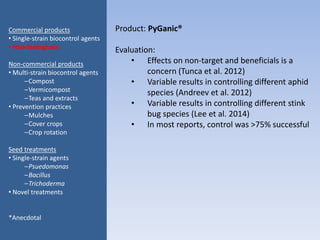 Product: PyGanic®
Evaluation:
• Effects on non-target and beneficials is a
concern (Tunca et al. 2012)
• Variable results in controlling different aphid
species (Andreev et al. 2012)
• Variable results in controlling different stink
bug species (Lee et al. 2014)
• In most reports, control was >75% successful
Commercial products
• Single-strain biocontrol agents
• Non-biologicals
Non-commercial products
• Multi-strain biocontrol agents
–Compost
–Vermicompost
–Teas and extracts
• Prevention practices
–Mulches
–Cover crops
–Crop rotation
Seed treatments
• Single-strain agents
–Psuedomonas
–Bacillus
–Trichoderma
• Novel treatments
*Anecdotal
 