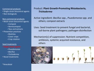 Product: Plant Growth-Promoting Rhizobacteria,
Trichoderma
Active ingredient: Bacillus spp., Psuedomonas spp. and
others; compost extracts
Uses: Seed treatment to prevent fungal and bacterial,
soil-borne plant pathogens; pathogen disinfection
Mechanism(s) of suppression: Nutrient competition,
antibiosis, systemic acquired resistance, and
others
Commercial products
• Single-strain biocontrol agents
• Non-biologicals
Non-commercial products
• Multi-strain biocontrol agents
–Compost
–Vermicompost
–Teas and extracts
• Prevention practices
–Mulches
–Cover crops
–Crop rotation
Seed treatments
• Single-strain agents
–Psuedomonas
–Bacillus
–Trichoderma
• Novel treatments
*Anecdotal
wwf.panda.orgag.arizona.edu
 