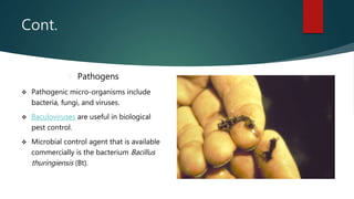 Cont.
 Pathogens
 Pathogenic micro-organisms include
bacteria, fungi, and viruses.
 Baculoviruses are useful in biological
pest control.
 Microbial control agent that is available
commercially is the bacterium Bacillus
thuringiensis (Bt).
 