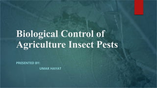 Biological Control of
Agriculture Insect Pests
PRESENTED BY:
UMAR HAYAT
 