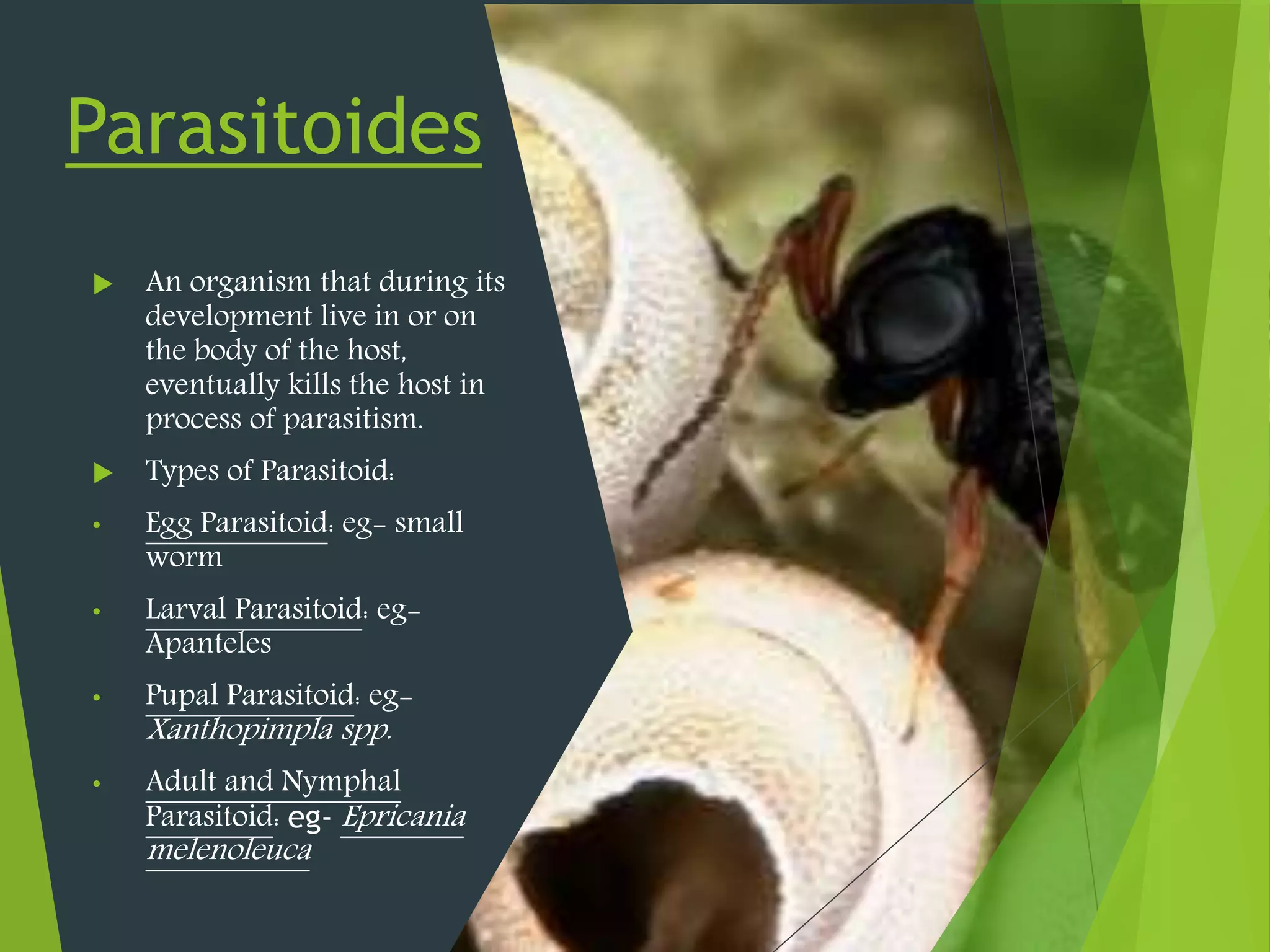 Biocontrol Agents | PPTX