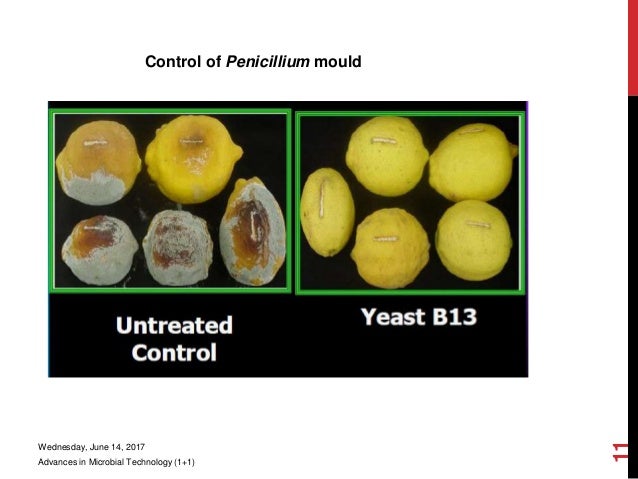 biocontrol agents of phytonematodes biocontrol agents of phytonematodes