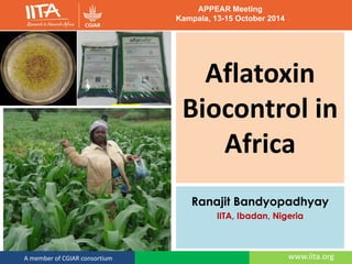www.iita.orgA member of CGIAR consortium
Aflatoxin
Biocontrol in
Africa
Ranajit Bandyopadhyay
IITA, Ibadan, Nigeria
APPEAR Meeting
Kampala, 13-15 October 2014
 