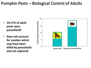 Pumpkin Pests – Biological Control of Adults



 • 10-17% of adult
   pests were
   parasitized!

 • Does not account
   for number which
   may have been
   killed by parasitoids
   and not captured
 
