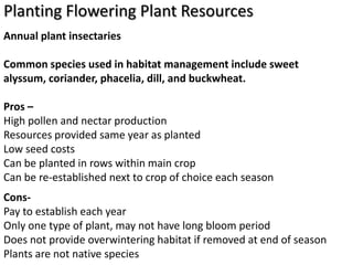 Planting Flowering Plant Resources
Annual plant insectaries

Common species used in habitat management include sweet
alyssum, coriander, phacelia, dill, and buckwheat.

Pros –
High pollen and nectar production
Resources provided same year as planted
Low seed costs
Can be planted in rows within main crop
Can be re-established next to crop of choice each season
Cons-
Pay to establish each year
Only one type of plant, may not have long bloom period
Does not provide overwintering habitat if removed at end of season
Plants are not native species
 