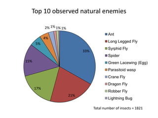 Top 10 observed natural enemies

            2% 1% 1% 1%
                                              Ant
            4%
                                              Long Legged Fly
      5%
                                              Syrphid Fly
                                33%
                                              Spider
15%                                           Green Lacewing (Egg)
                                              Parasitoid wasp
                                              Crane Fly
                                              Dragon Fly
      17%
                                              Robber Fly
                          21%
                                              Lightning Bug

                                      Total number of insects = 1821
 