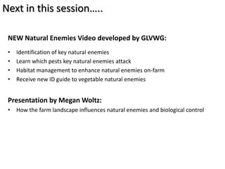 Next in this session…..

 NEW Natural Enemies Video developed by GLVWG:
 •   Identification of key natural enemies
 •   Learn which pests key natural enemies attack
 •   Habitat management to enhance natural enemies on-farm
 •   Receive new ID guide to vegetable natural enemies


 Presentation by Megan Woltz:
 • How the farm landscape influences natural enemies and biological control
 