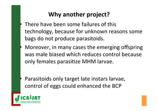 Biological control of the millet head miner in Niger and Senegal