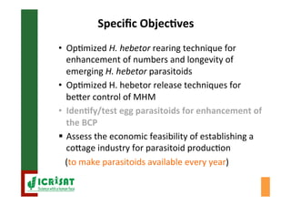 Biological control of the millet head miner in Niger and Senegal