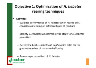 Biological control of the millet head miner in Niger and Senegal