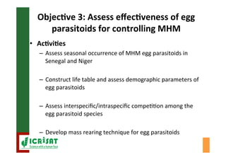 Biological control of the millet head miner in Niger and Senegal