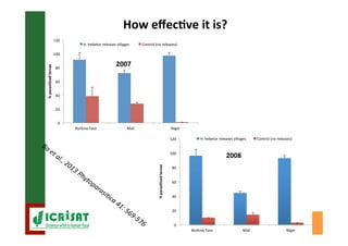 Biological control of the millet head miner in Niger and Senegal