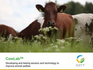 Developing and testing sensors and technology to
improve animal welfare
CowLabTM
 