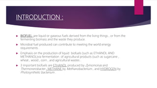 INTRODUCTION :
 BIOFUEL :are liquid or gaseous fuels derived from the living things , or from the
fermenting biomass and the waste they produce.
 Microbial fuel produced can contribute to meeting the world energy
requirements .
 Emphasis on the production of liquid biofuels (such as ETHANOL AND
METHANOL)via fermentation of agricultural products (such as sugarcane ,
wheat , wood , corn , and agricultural wastes .
 3 important biofuels are ETHANOL produced by Zymomonas and
Thermonerobacter , METHANE by Methanobacterium , and HYDROGEN by
Photosynthetic bacterium .
 