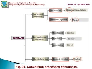 Bioconversion Process - Bioethanol Production(1).pdf