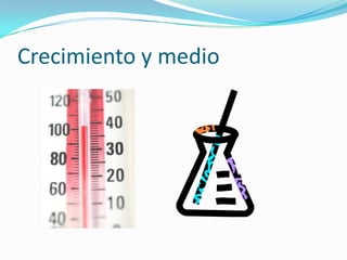 Crecimiento y medio
 