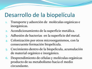 Desarrollo de la biopelícula
1. Transporte y adsorción de moléculas orgánicas e
inorgánicas.
2. Acondicionamiento de la superficie metálica.
3. Adhesión de bacterias en la superficie del metal.
4. Colonización por otros microorganismos, con la
consecuente formación biopelícula.
5. Crecimiento dentro de la biopelicula, acumulación
de material orgánico e inorgánico.
6. Desprendimiento de células y moléculas orgánicas
producto de su metabolismo hacia el medio
circundante.
 