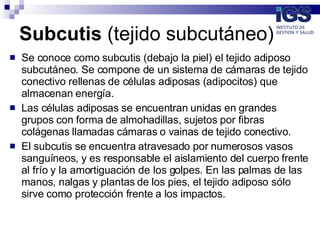 Subcutis  (tejido subcutáneo) ,[object Object],[object Object],[object Object]